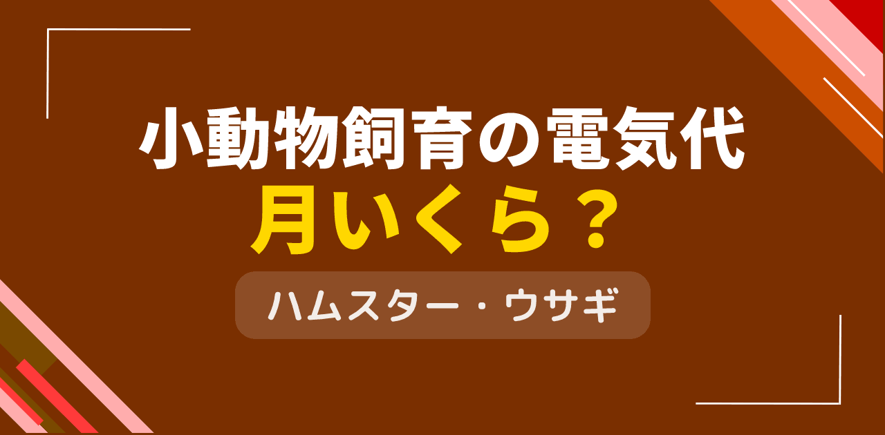 小動物飼育の電気代は？ハムスター・ウサギの温度管理費